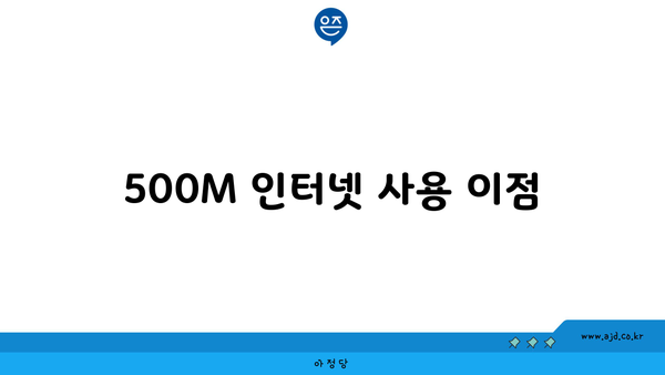 500M 인터넷 사용 이점