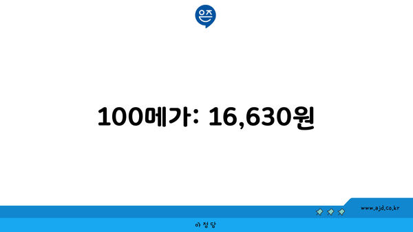 100메가: 16,630원