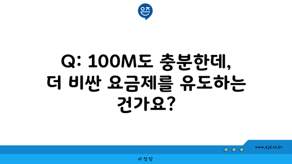 Q: 100M도 충분한데, 더 비싼 요금제를 유도하는 건가요?