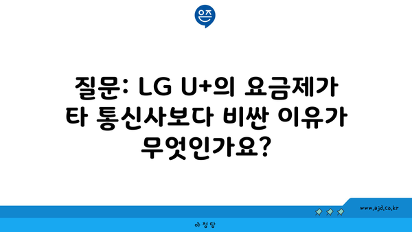 질문: LG U+의 요금제가 타 통신사보다 비싼 이유가 무엇인가요?