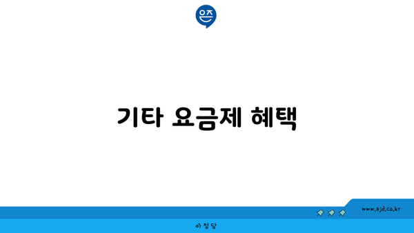 기타 요금제 혜택