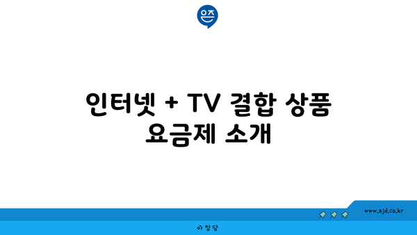 인터넷 + TV 결합 상품 요금제 소개