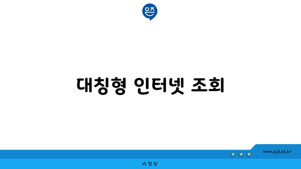 대칭형 인터넷 조회