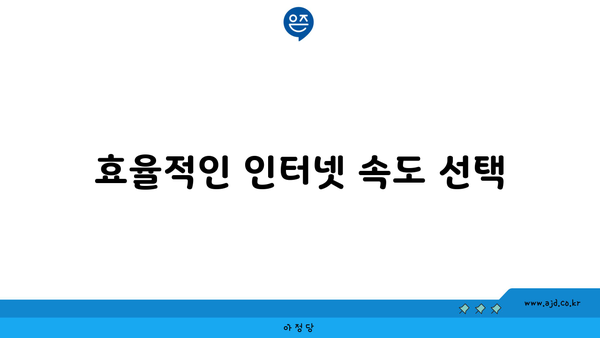 효율적인 인터넷 속도 선택