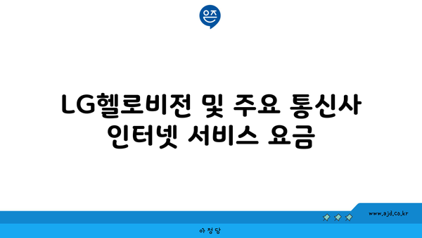 LG헬로비전 및 주요 통신사 인터넷 서비스 요금