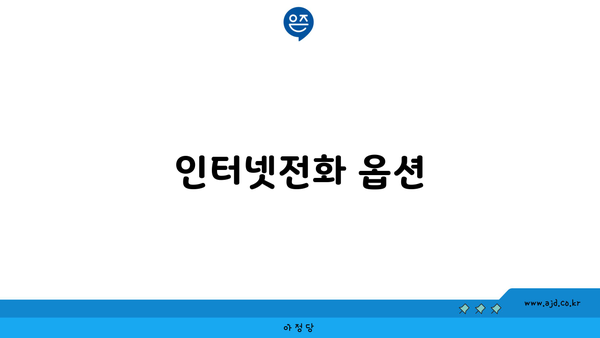 인터넷전화 옵션