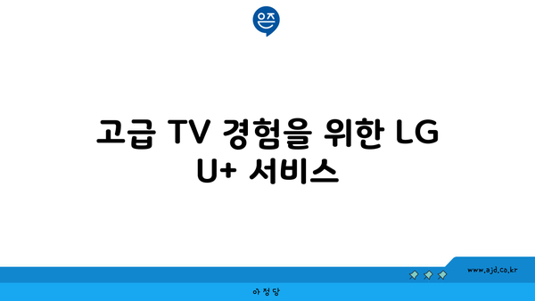 고급 TV 경험을 위한 LG U+ 서비스