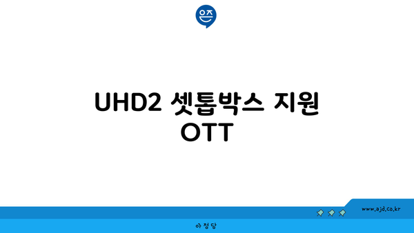 UHD2 셋톱박스 지원 OTT