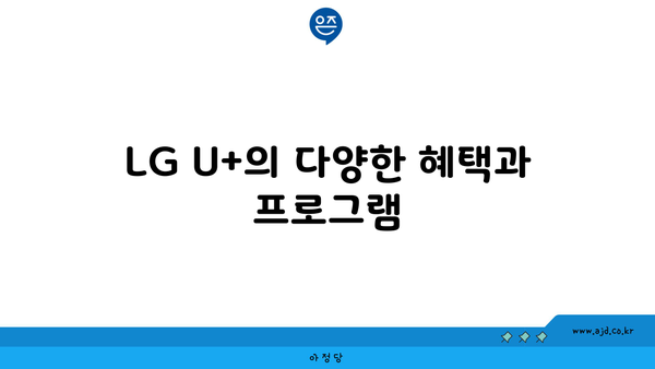 LG U+의 다양한 혜택과 프로그램