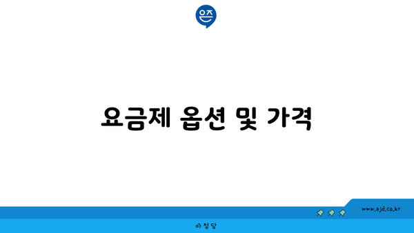 요금제 옵션 및 가격