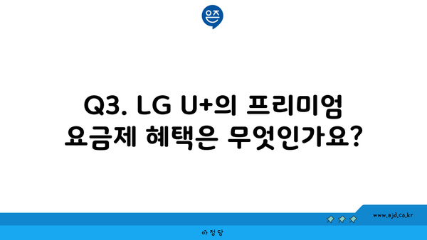 Q3. LG U+의 프리미엄 요금제 혜택은 무엇인가요?