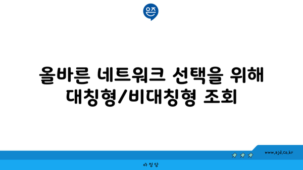 올바른 네트워크 선택을 위해 대칭형/비대칭형 조회