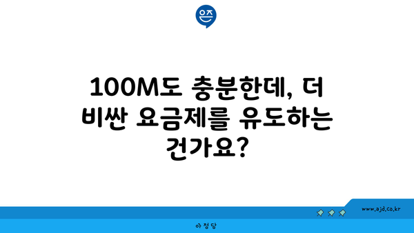 100M도 충분한데, 더 비싼 요금제를 유도하는 건가요?