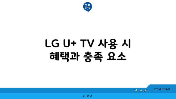 LG U+ TV 사용 시 혜택과 충족 요소