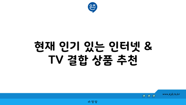 현재 인기 있는 인터넷 & TV 결합 상품 추천