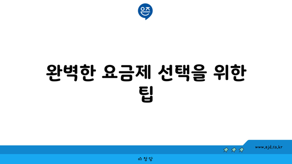 완벽한 요금제 선택을 위한 팁