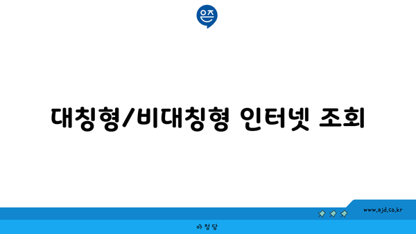 대칭형/비대칭형 인터넷 조회