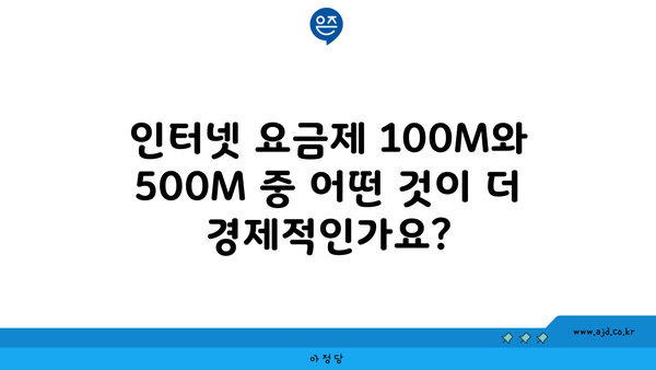 인터넷 요금제 100M와 500M 중 어떤 것이 더 경제적인가요?