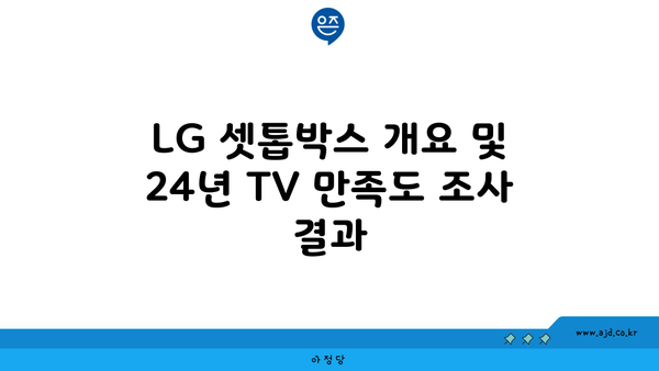 LG 셋톱박스 개요 및 24년 TV 만족도 조사 결과