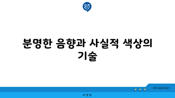 분명한 음향과 사실적 색상의 기술