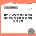 부여군 규암면 쉽고 빠르게 알아보는 알뜰폰 유심 개통 및 요금제