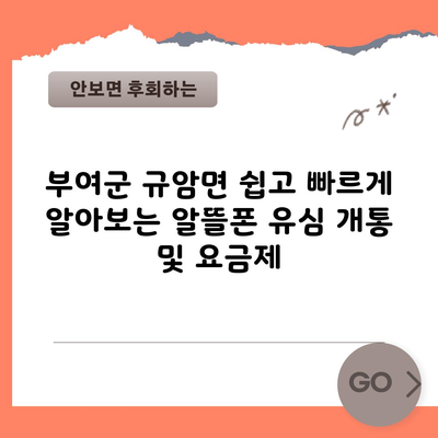 부여군 규암면 쉽고 빠르게 알아보는 알뜰폰 유심 개통 및 요금제