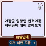 기장군 일광면 번호이동 지원금에 대해 알아보기