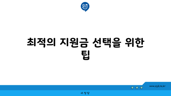 최적의 지원금 선택을 위한 팁