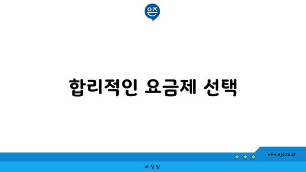 합리적인 요금제 선택