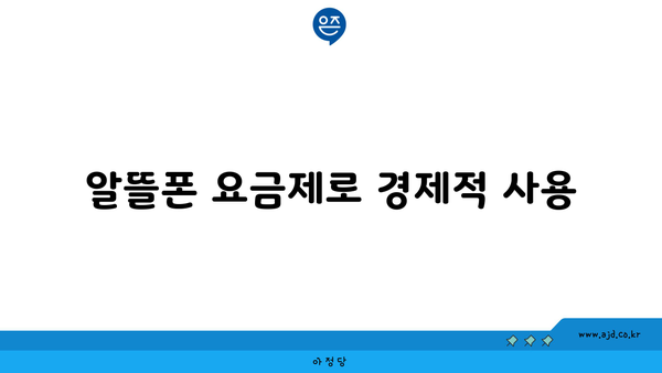 알뜰폰 요금제로 경제적 사용