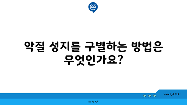 악질 성지를 구별하는 방법은 무엇인가요?