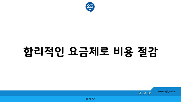 합리적인 요금제로 비용 절감