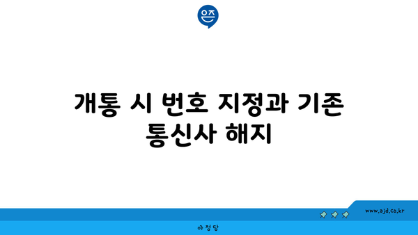 개통 시 번호 지정과 기존 통신사 해지