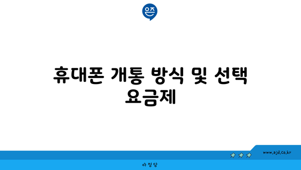 휴대폰 개통 방식 및 선택 요금제